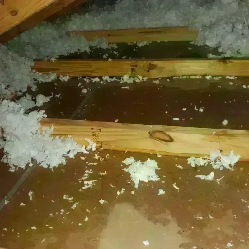 Attic Water Damage in Morgan City, LA