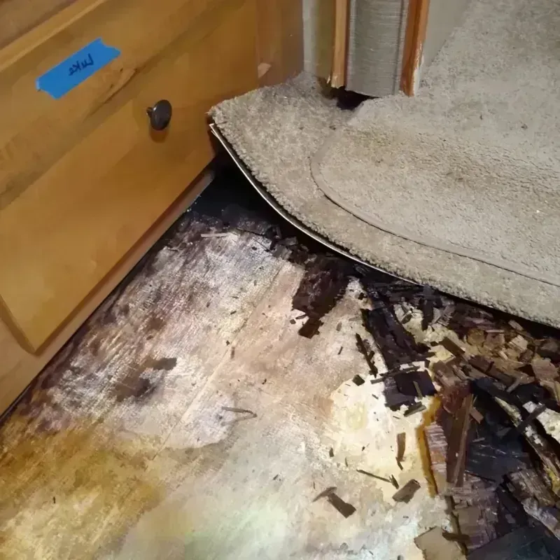 Wood Floor Water Damage in Morgan City, LA